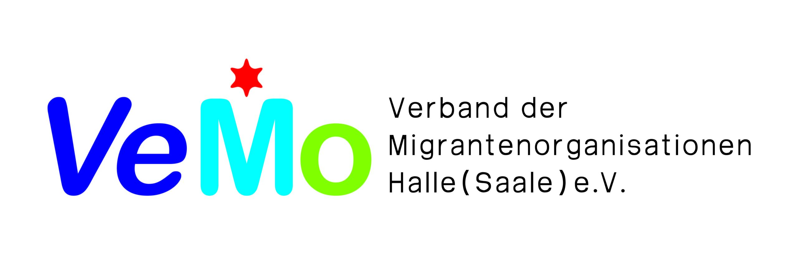 Logo VEMO Halle