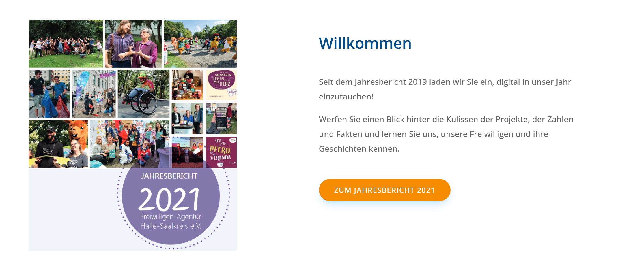 Jahresberichte Freiwilligen-Agentur Halle
