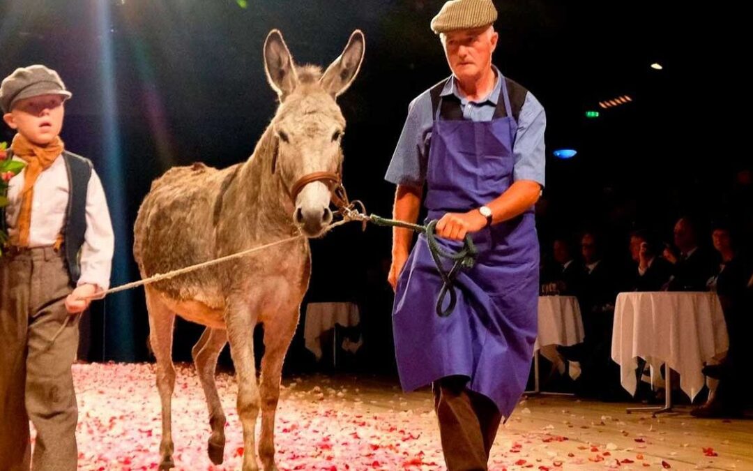 Bürgerpreis „Der Esel, der auf Rosen geht“ – jetzt nominieren